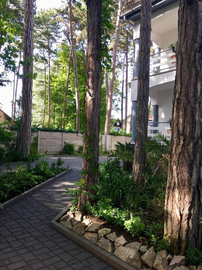 Pearl Home שיופוק מראה חיצוני תמונה